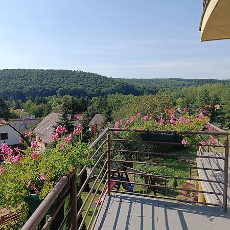 Koekeny Apartman Богач Экстерьер фото